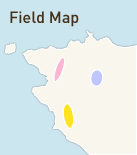 Field Map
